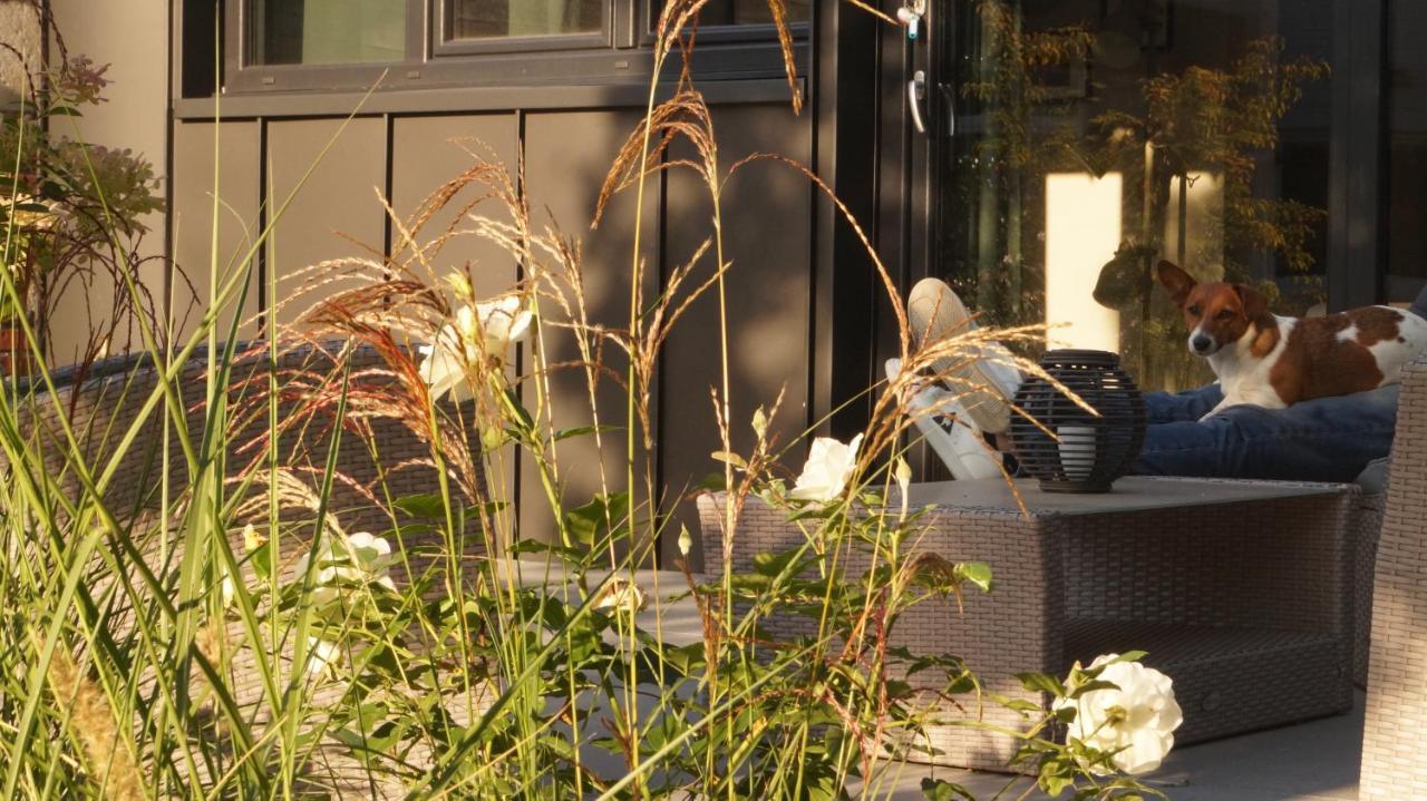 Les Terrasses De Templeuve Bed & Breakfast Bagian luar foto