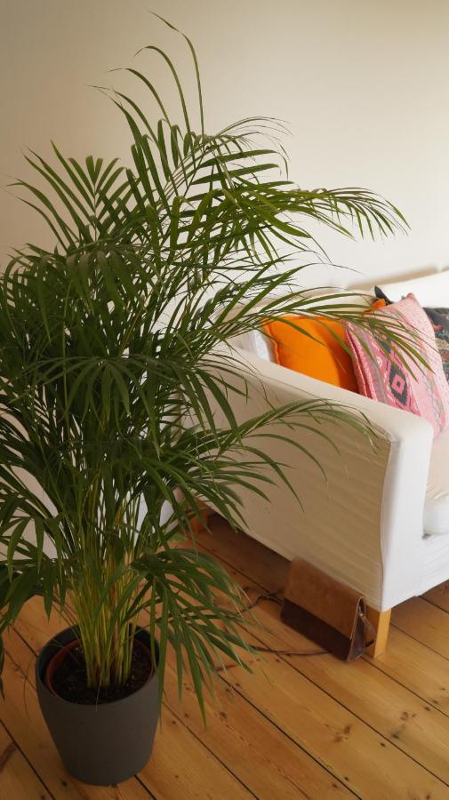 Les Terrasses De Templeuve Bed & Breakfast Bagian luar foto
