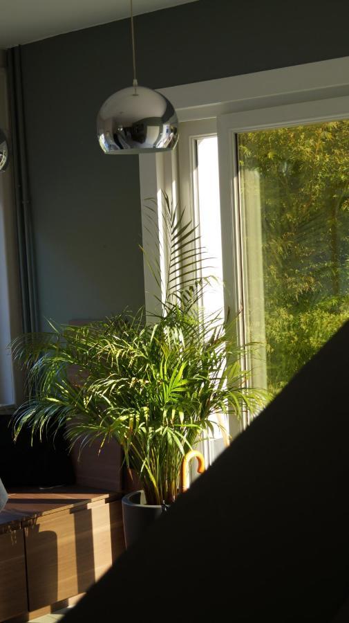Les Terrasses De Templeuve Bed & Breakfast Bagian luar foto
